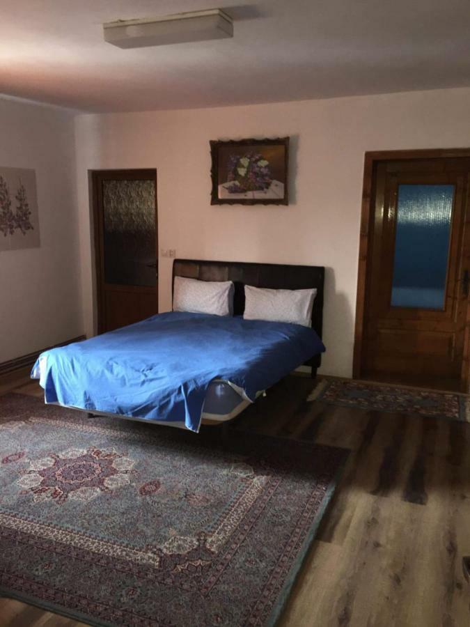 Casa Mirela Hotel Turda Buitenkant foto